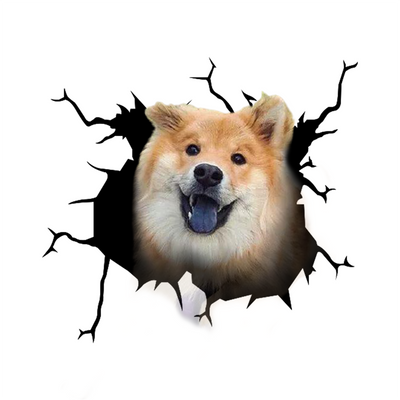 Eurasier Crack Car Sticker 1