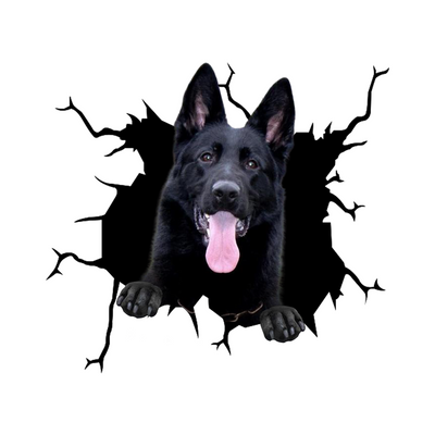 Laekenois Crack Car Sticker 1
