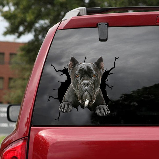 Cane Corso Crack Car Sticker, Toilet Sticker, Fridge Sticker 2