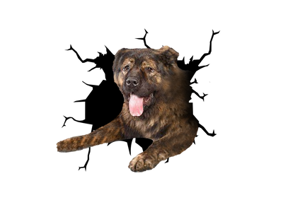 Caucasian Shepherd Dog Crack Car Sticker 1