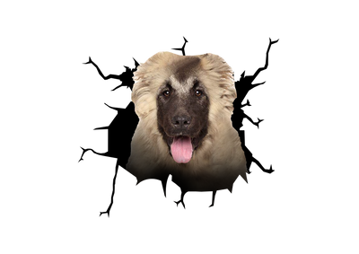 Caucasian Shepherd Dog Crack Car Sticker 3