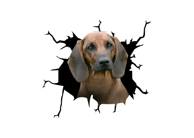 Bavarian Mountain Hound Crack Car Sticker 3