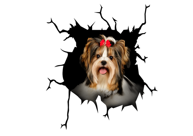 Biewer Crack Car Sticker 3