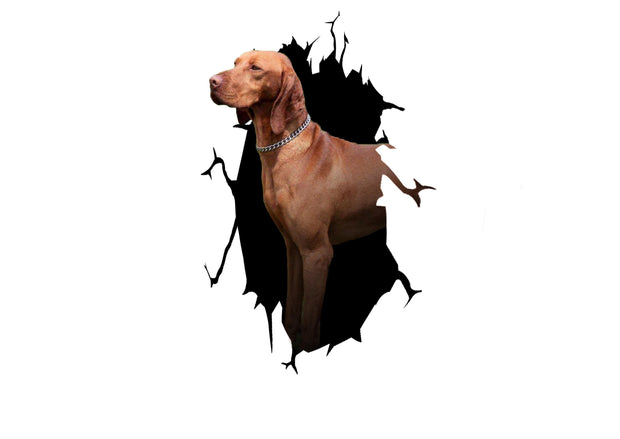 Vizsla Dog Crack Car Sticker 3