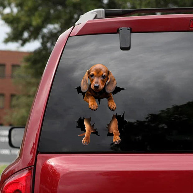 Dachshund Crack Car Sticker, Toilet Sticker, Fridge Sticker (32)