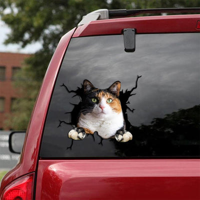 Car Sticker Cats Lover (231)