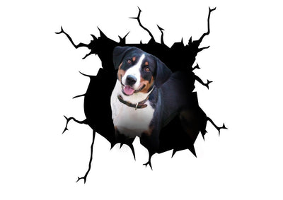 Appenzeller Sennenhund Dog Crack Car Sticker 2