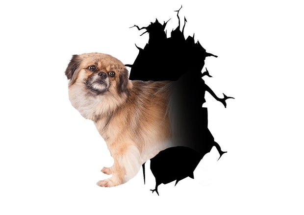 Tibetan spaniel Dog Crack Car Sticker 2