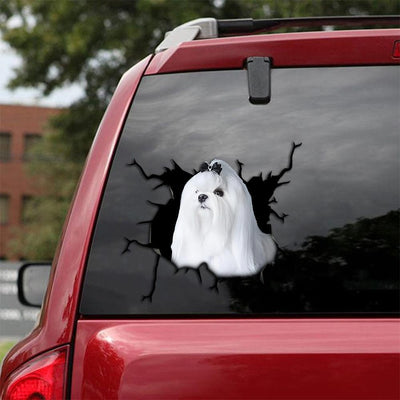 Maltese Crack Car Sticker, Toilet Sticker, Fridge Sticker 21