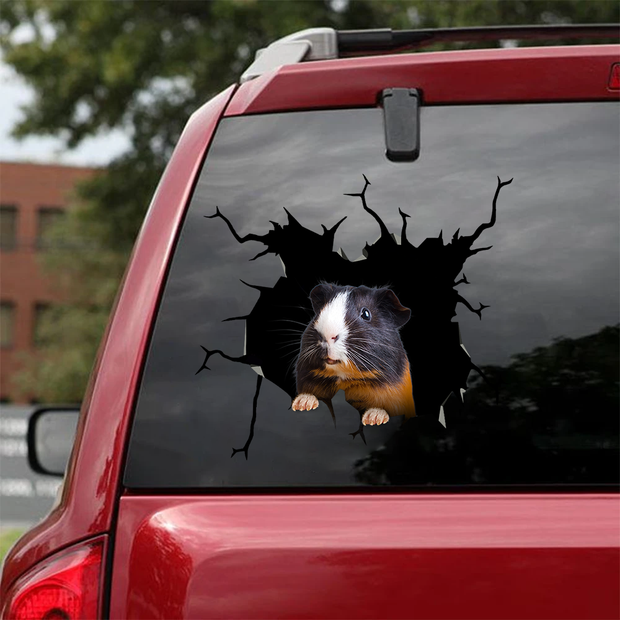 Guinea Pig Crack Car Sticker, Toilet Sticker, Fridge Sticker 7