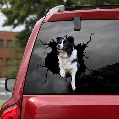 Border Collie Crack Car Sticker, Toilet Sticker, Fridge Sticker 19