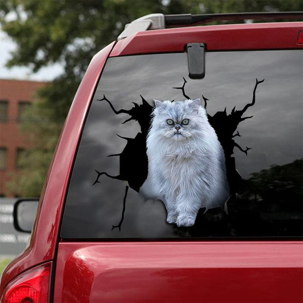 Car Sticker Cats Lover (150)