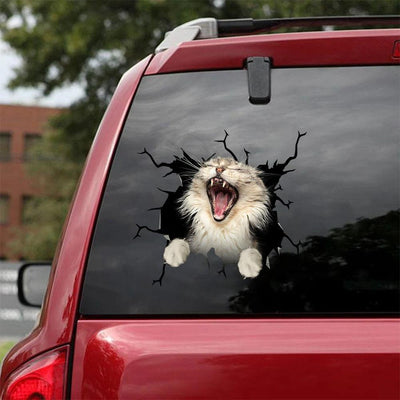 THE MAINE COON CRACK CAR STICKER CATS LOVER