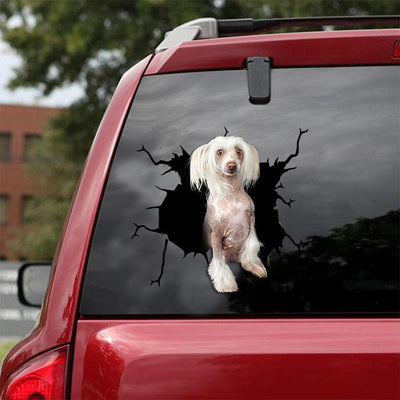 CHINESE CRESTED CRACK CAR STICKER 8