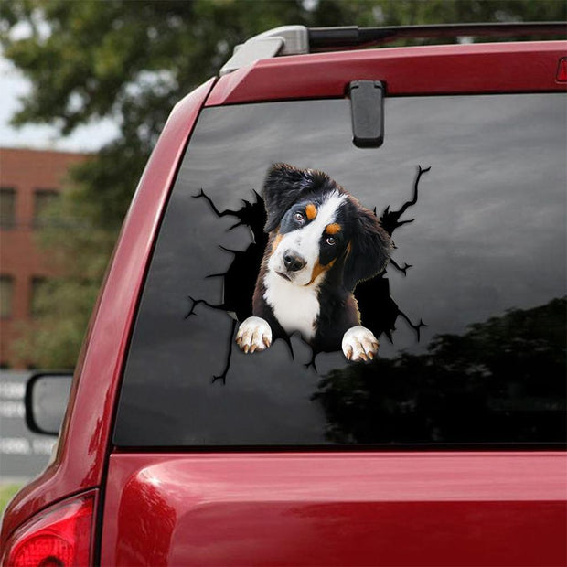Bernese Mountain Crack Car Sticker, Toilet Sticker, Fridge Sticker 19