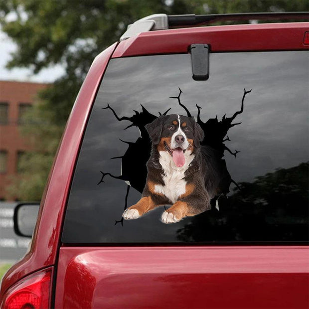 Bernese Mountain Crack Car Sticker, Toilet Sticker, Fridge Sticker 9