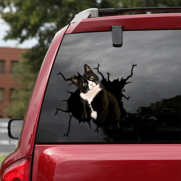 Car Sticker Cats Lover (219)