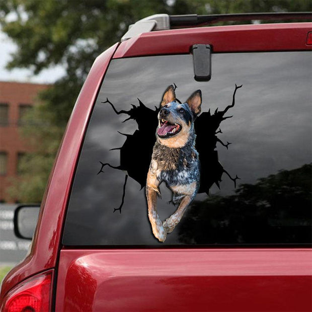 Australian Cattle Dog Crack Car Sticker 6