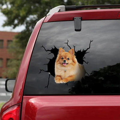 Pomeranian Crack Car Sticker, Toilet Sticker, Fridge Sticker 11