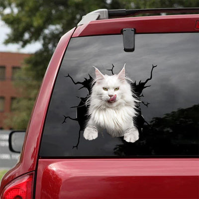 MAINE COON CAT CRACK CAR STICKER CATS LOVER