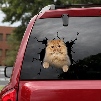 Car Sticker Cats Lover (200)