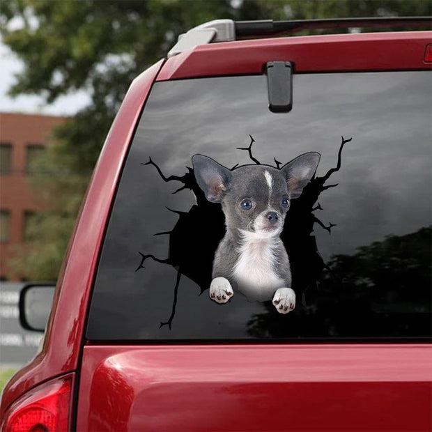 Chihuahua Crack Car Sticker, Toilet Sticker, Fridge Sticker (20)