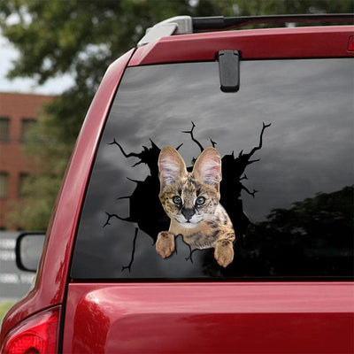 Car Sticker Cats Lover (194)